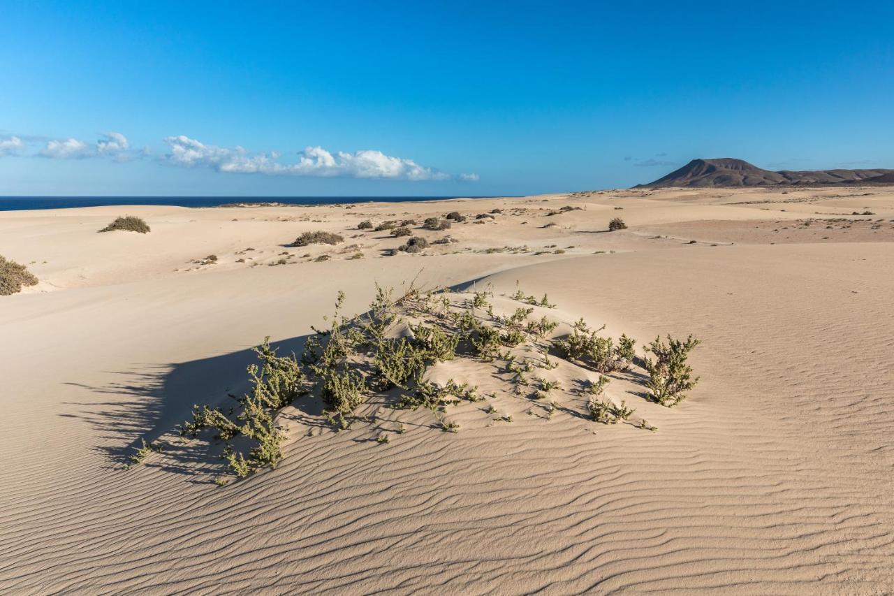 Home2Book Charming Sun & Dunes Apartment Коралео Екстериор снимка